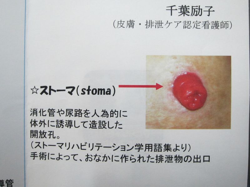 平成２4年1月23日サロン 008