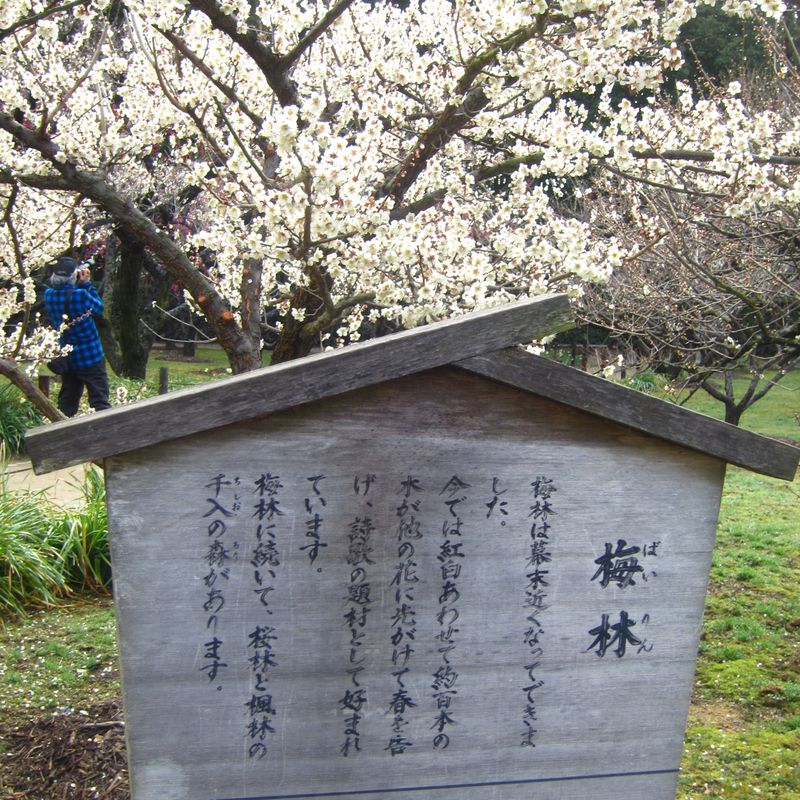 平成24年3月11日岡山・後楽園 024