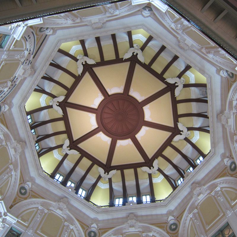 IMG_7082 IMG_7082